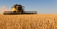 農業部部署推進農業農村大數據發展和應用工作